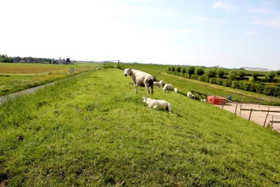 De dijk